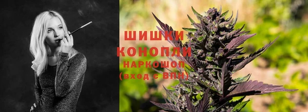 МДПВ Богданович