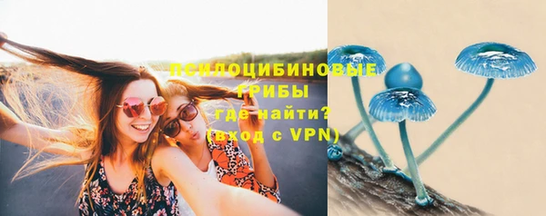 СК Богородицк