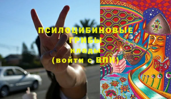 МДПВ Богданович
