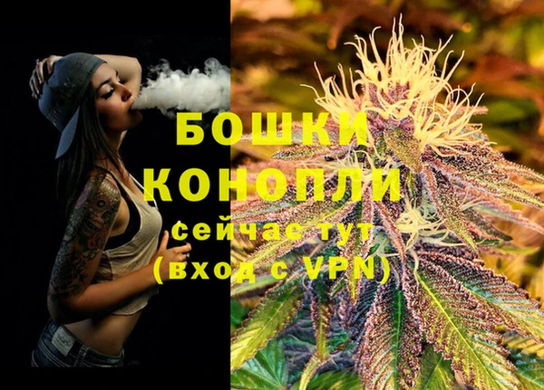 МДПВ Богданович