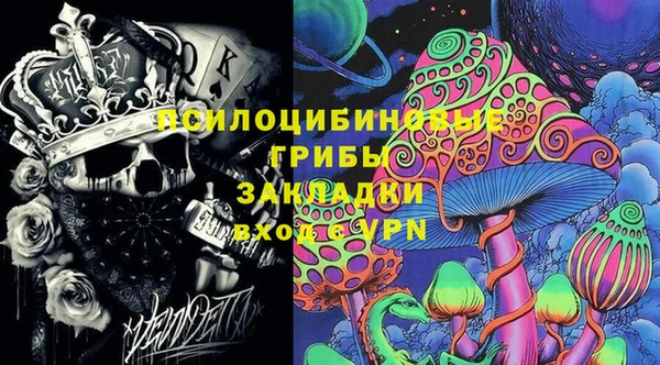 МДПВ Богданович